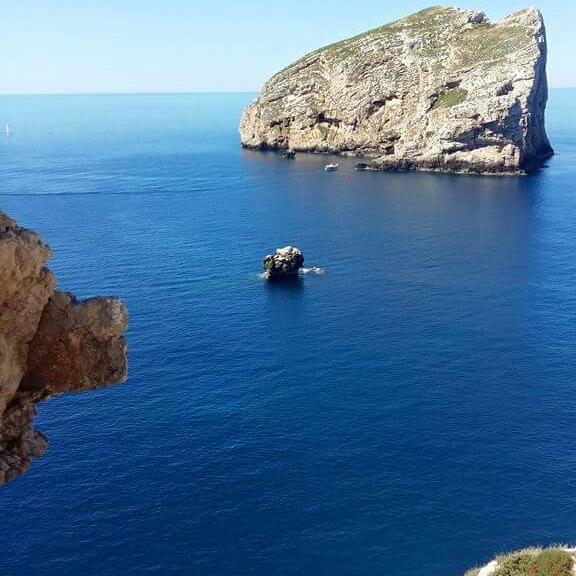 White Beach Alghero Quarto foto