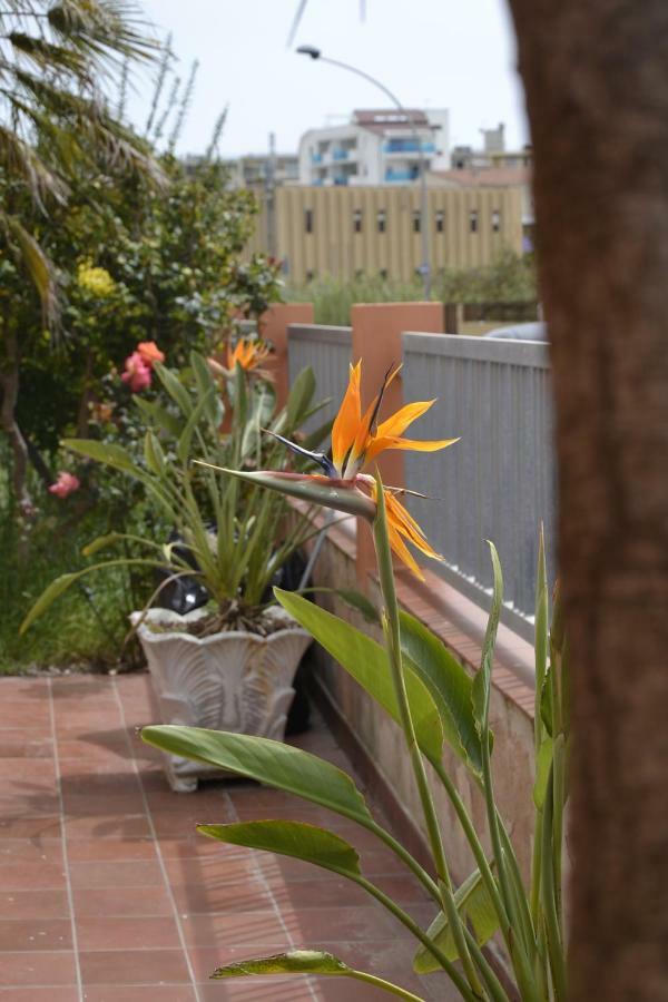 White Beach Alghero Exterior foto